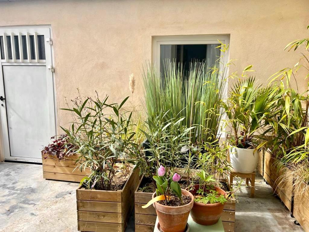 Jolie Mini Maison Lovely Tiny House Витри сюр Сен Екстериор снимка